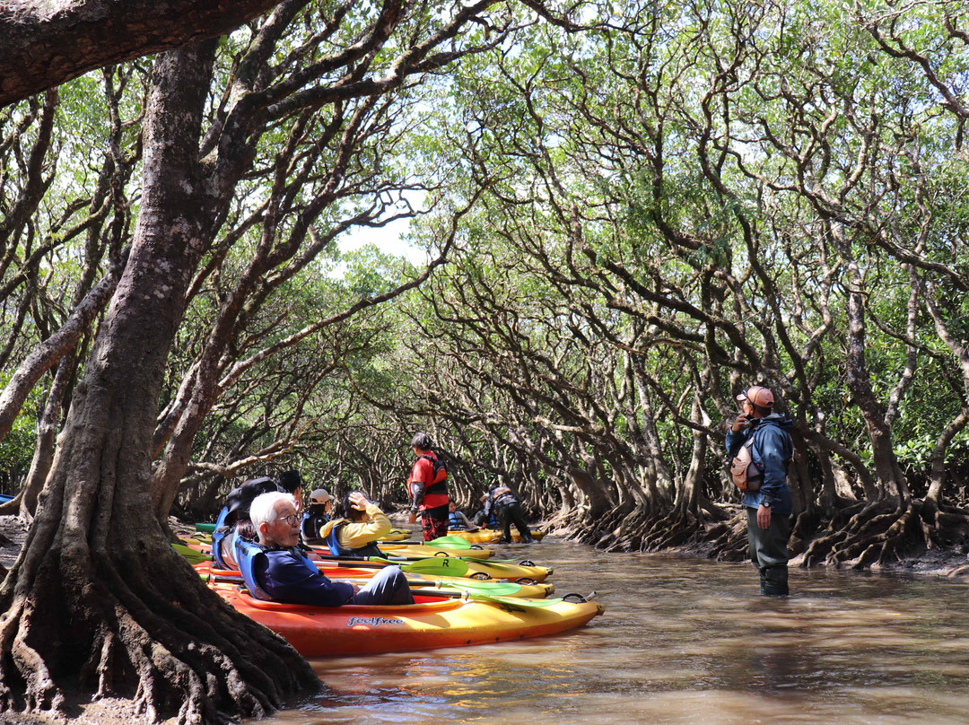 Amamigunto National Park-奄美市必去景点
