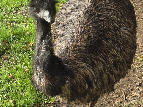 Natural'Parc-Ombrée d'Anjou必去景点