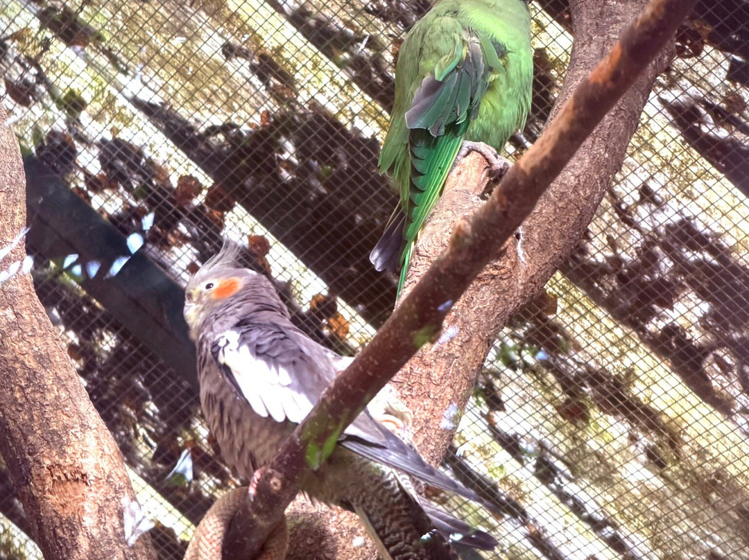 Le Refuge de l'Arche-Chateau-Gontier必去景点