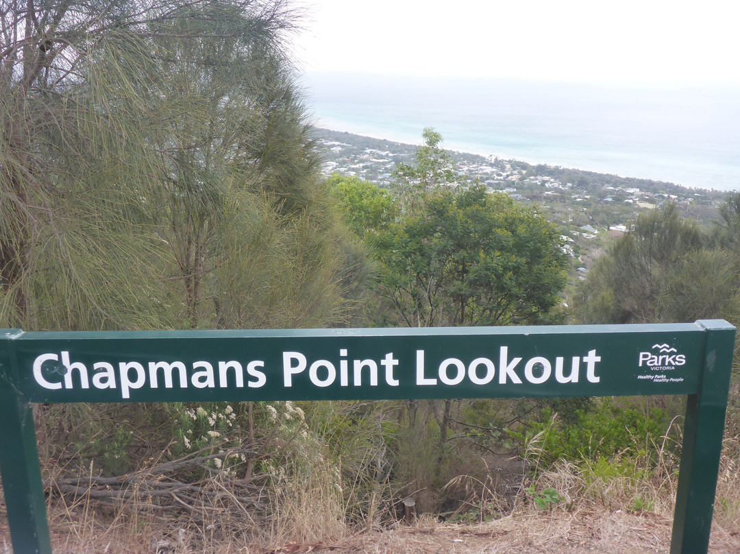 Chapmans Point