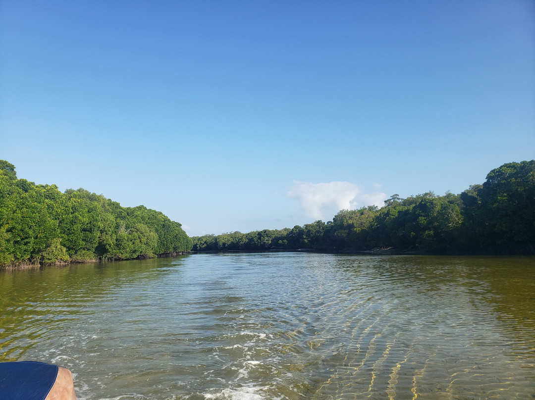 Safari Shwari Mafia Island-Utende必去景点