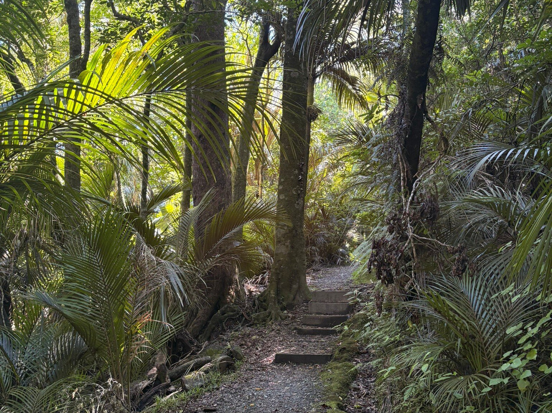 Morere Hot Springs-Morere必去景点