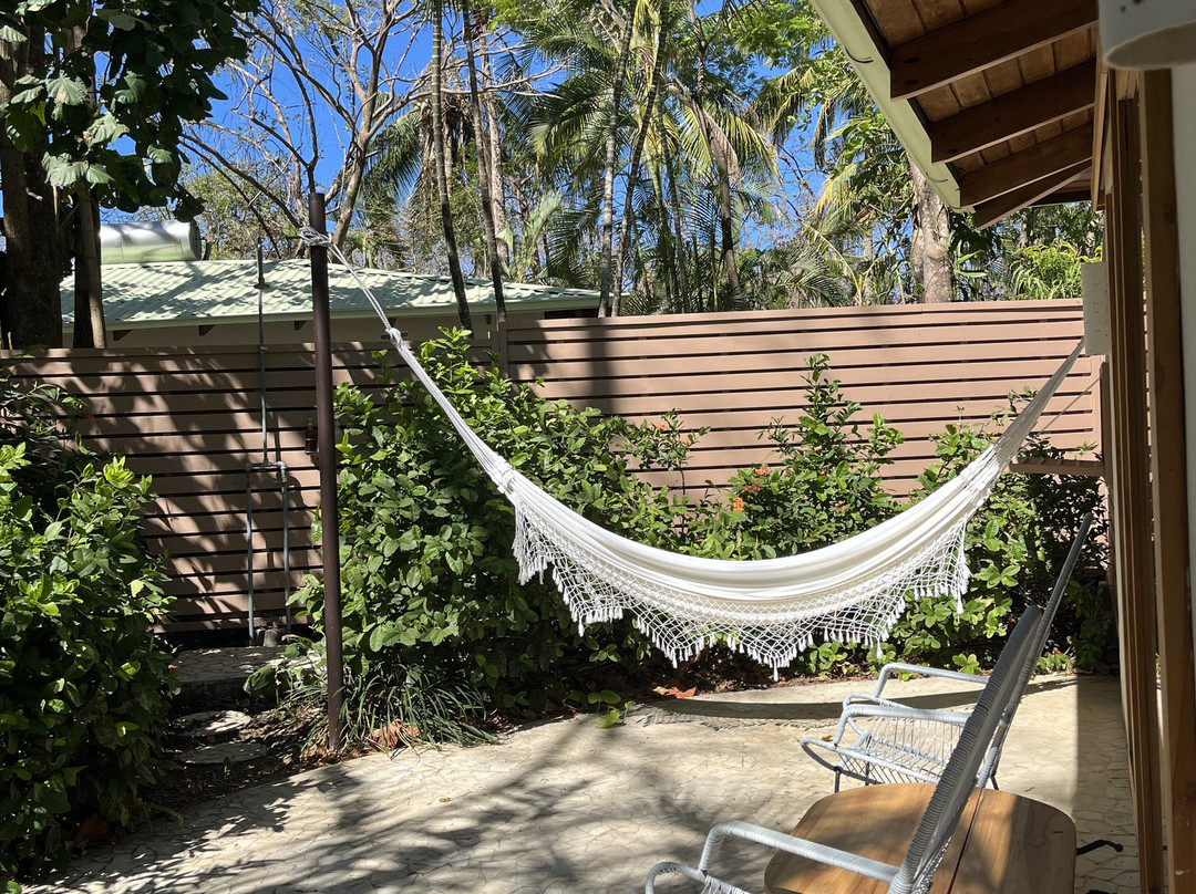 The Harmony Hotel主图