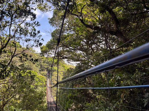 NexusTours-圣何塞必去景点