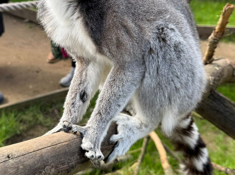 Wild Zoological Park-Bobbington必去景点