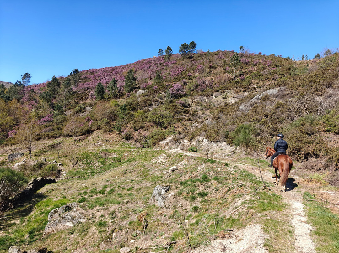 EquiCampo-Terras de Bouro必去景点
