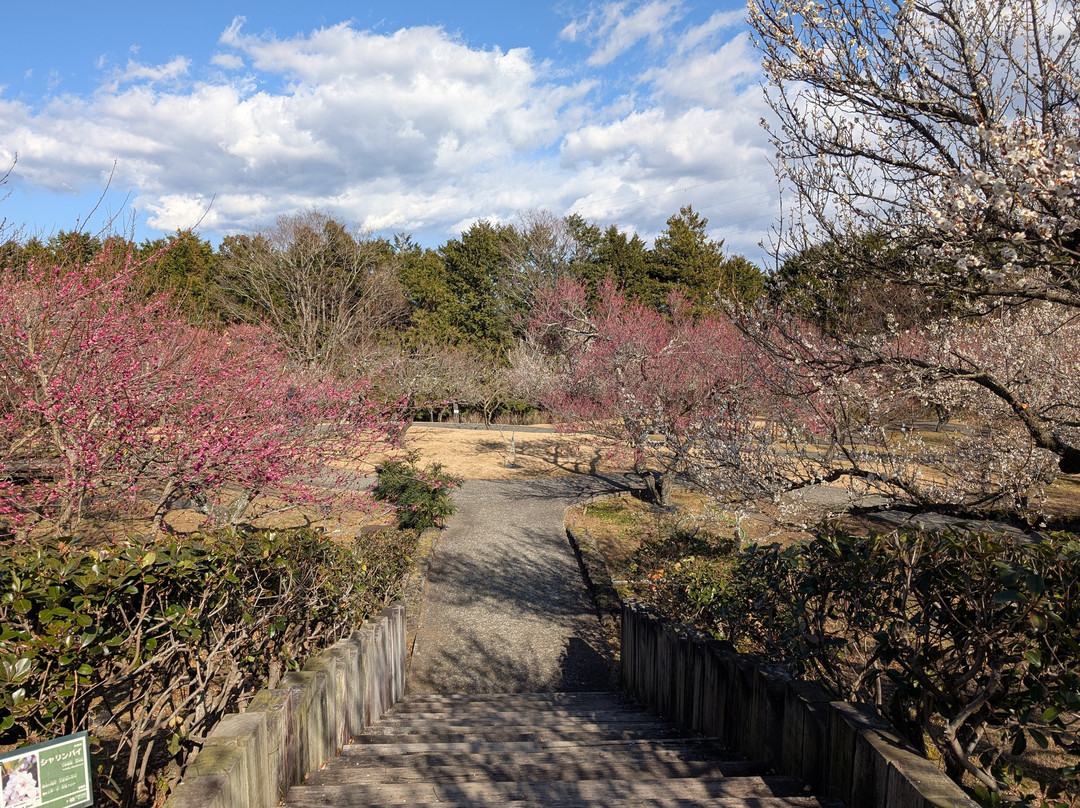 Odawara Flower Garden-小田原市必去景点