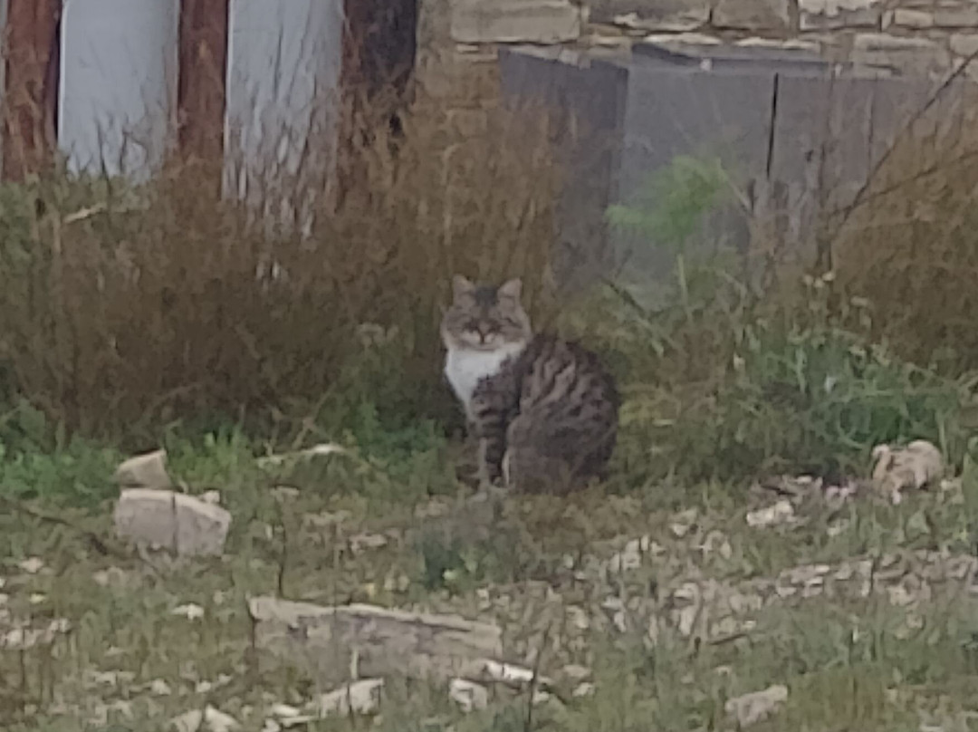 Terra Oliva-Pano Lefkara必去景点