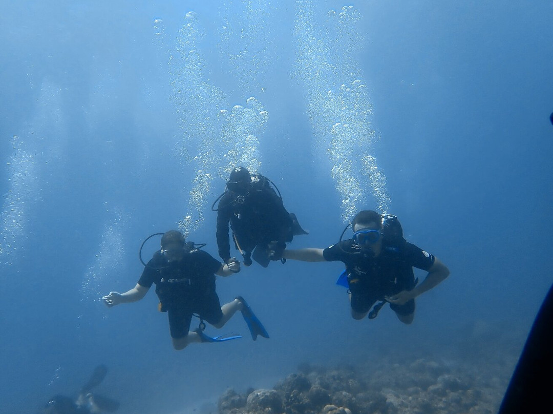Dive Spirit Mauritius-卓欧毕雪必去景点