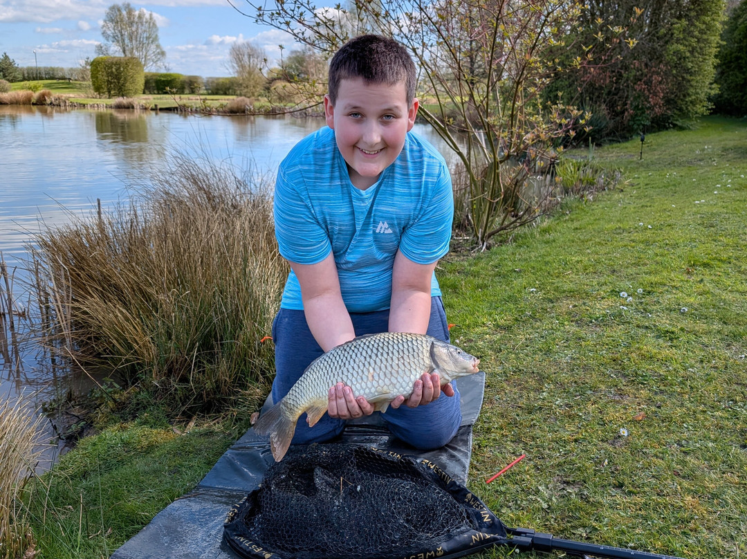 新农场民宿主图