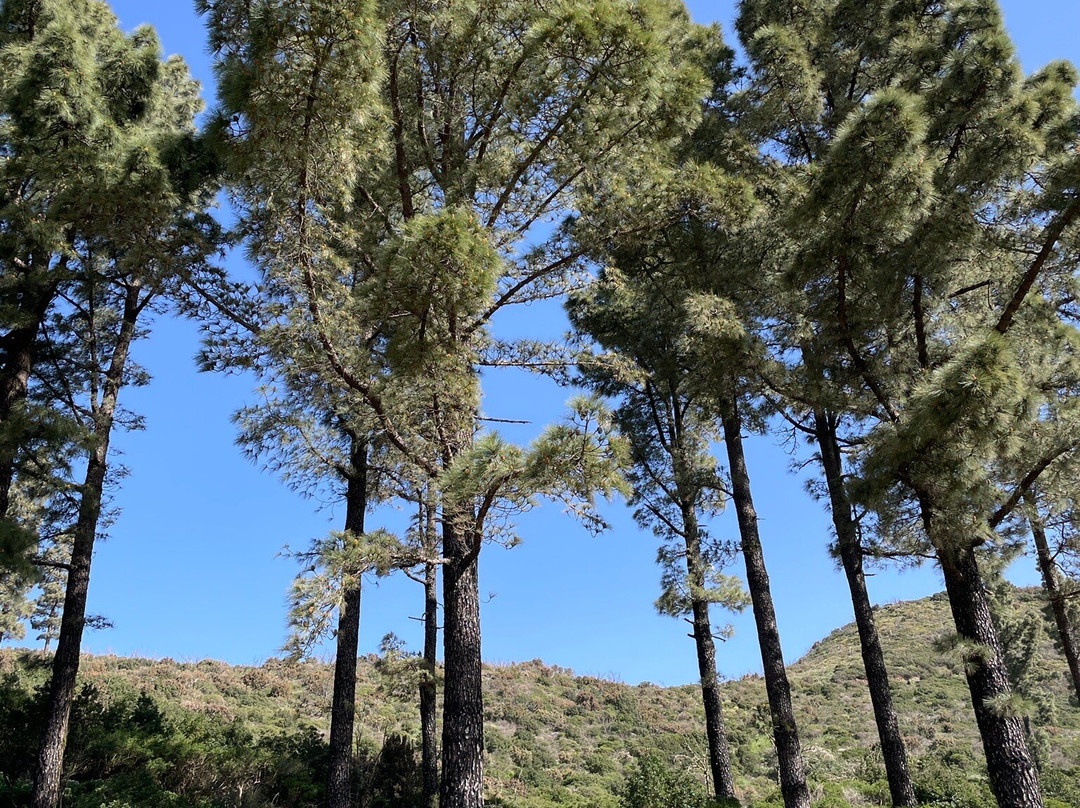 Timah-La Puntilla必去景点