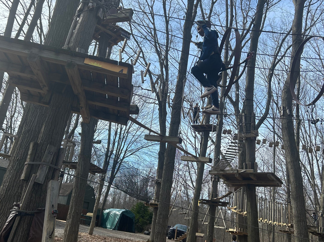 TreeRunner West Bloomfield Adventure Park-西布鲁姆菲尔德必去景点