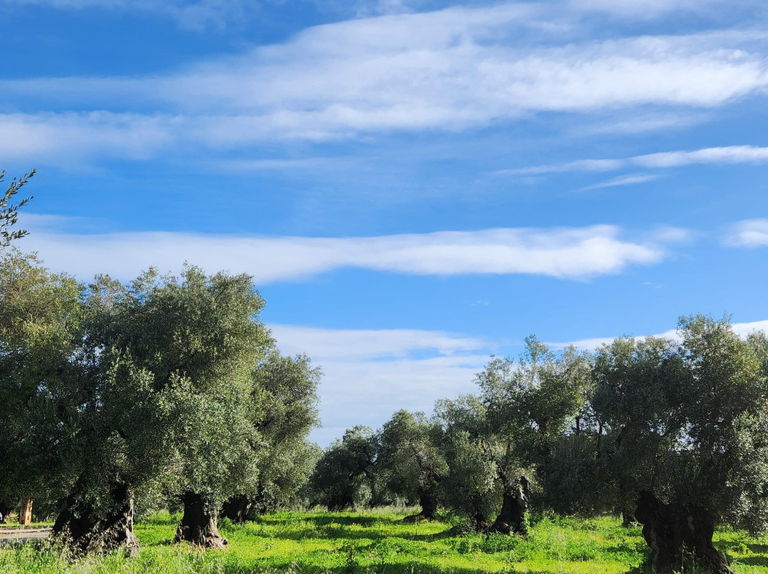 马塞里亚瓦伦特农家乐主图