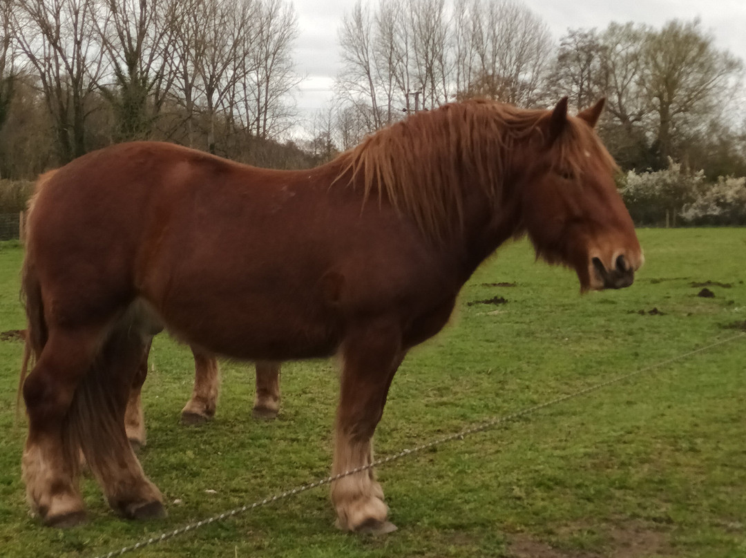 Gressenhall Farm And Workhouse-Dereham必去景点