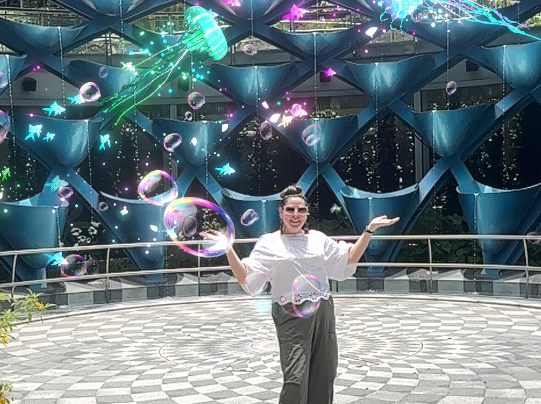 Sentosa SensoryScape-新加坡必去景点