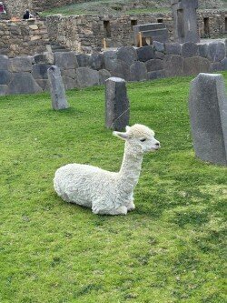 Explora Valle Sagrado-官方