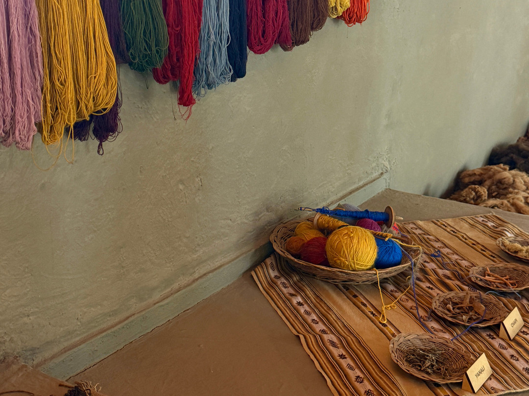 Mundo Alpaca Arequipa-阿雷基帕必去景点