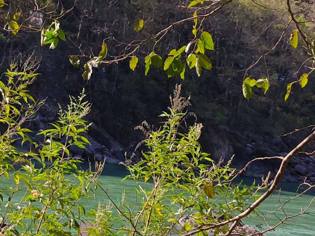 Maa Yoga Ashram-Tapovan必去景点