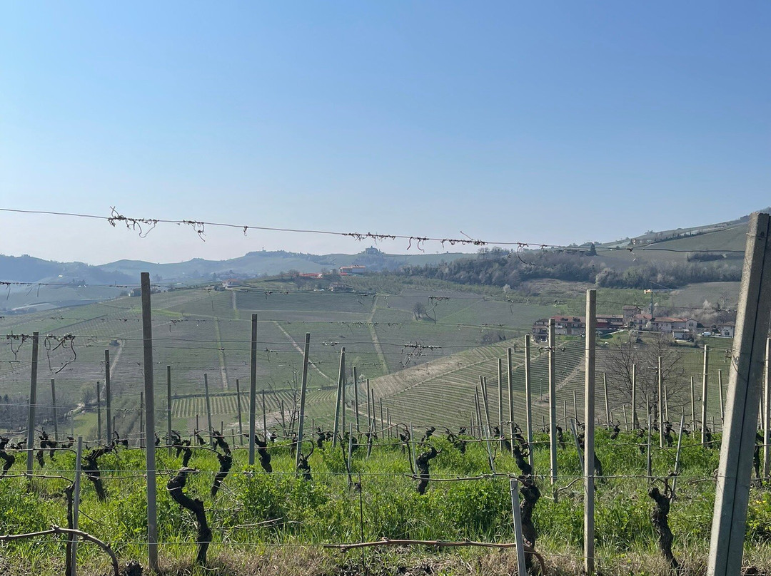 Piedmont Food and Wine-Vinchio必去景点