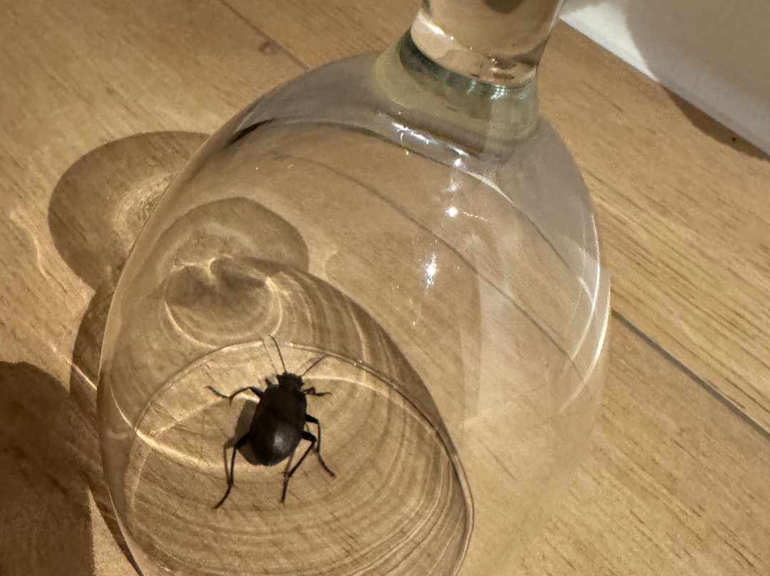 罗宾逊俱乐部汉迪亚海滩酒店-限成人主图