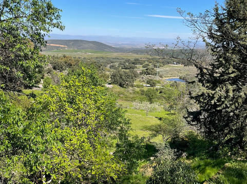 Convento de El Palancar-Pedroso de Acim必去景点