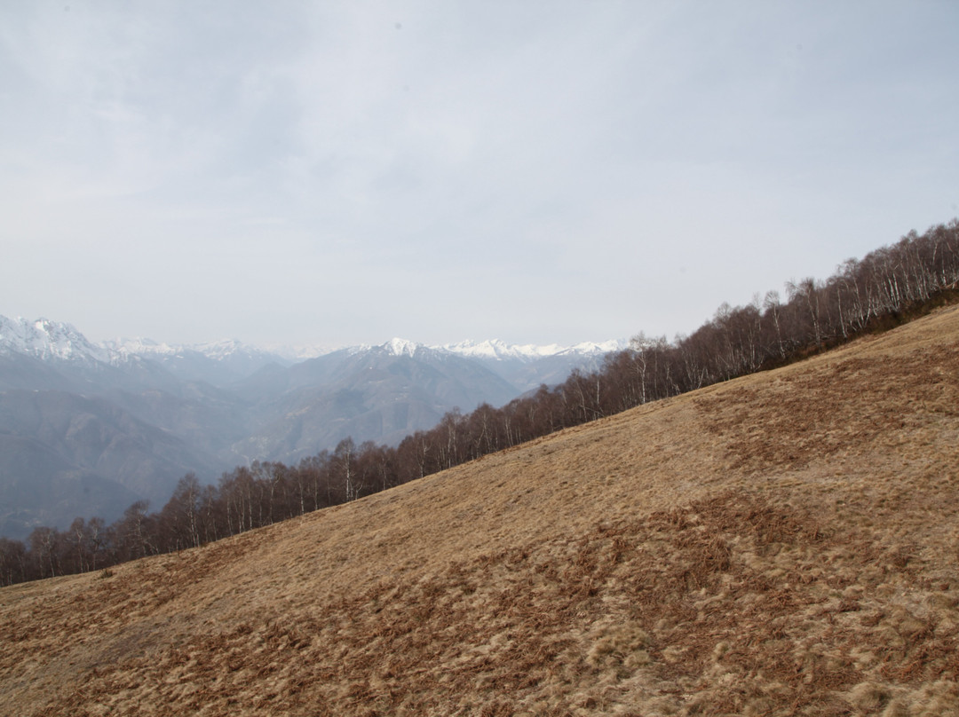 Cimetta-洛迦诺必去景点