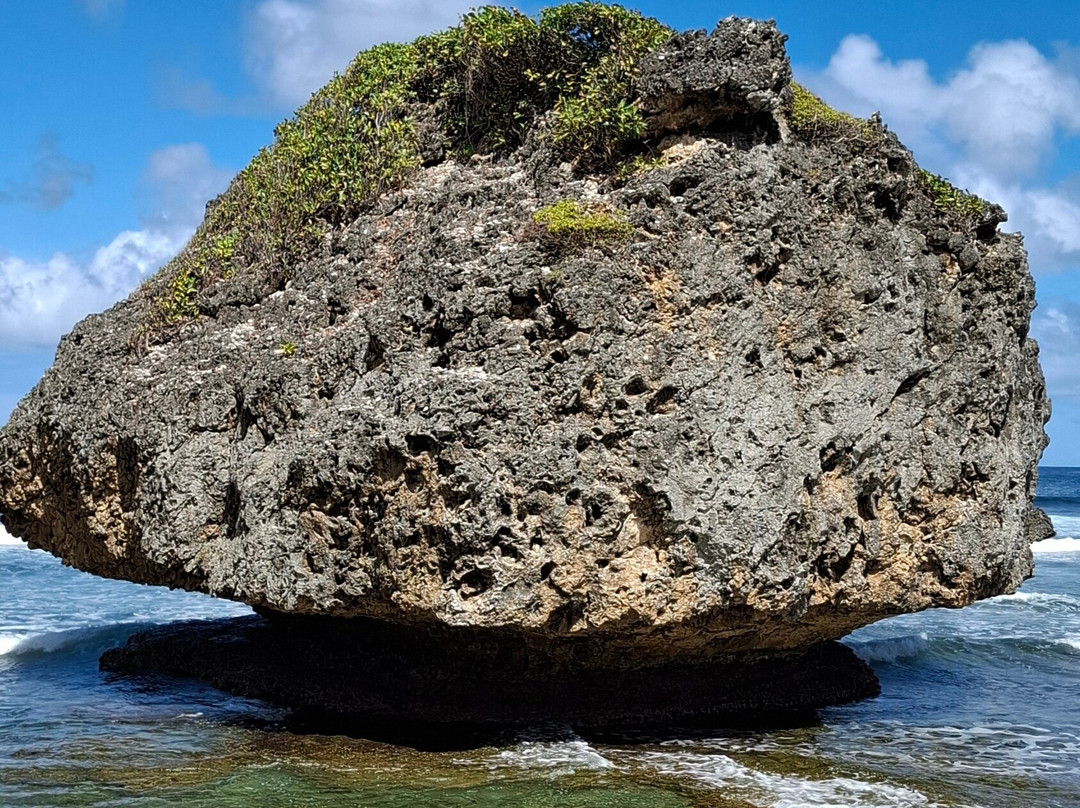 Bathsheba Beach-Bathsheba必去景点
