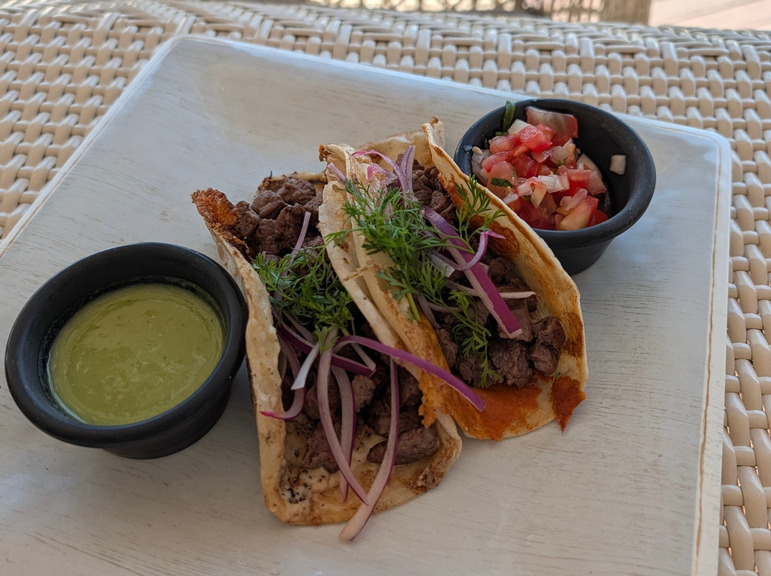 The Roof 28 - At The Reef 28-普拉亚德尔卡曼必去景点