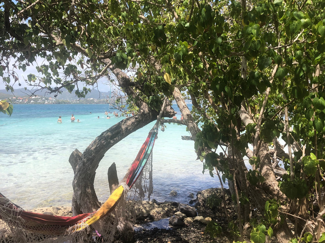 Catamaran Bwa Drese-Le Robert必去景点