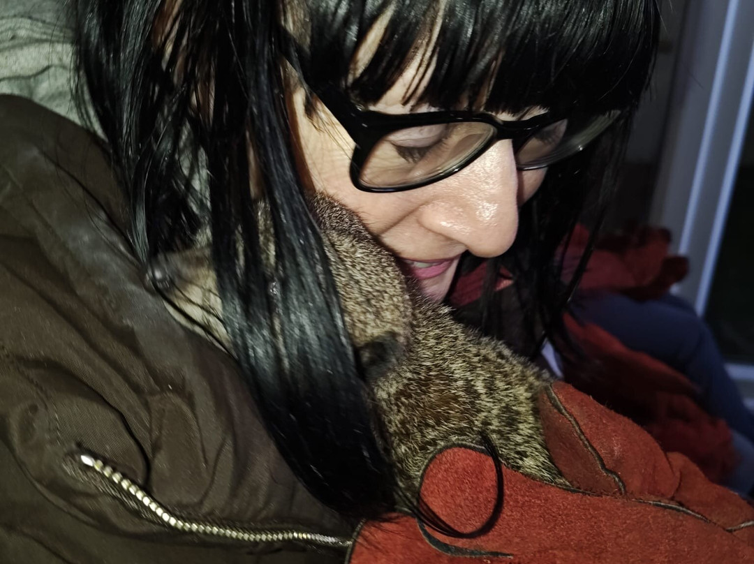 Nanny Sharon's Alpaca Farm C.I.C-Prenton必去景点