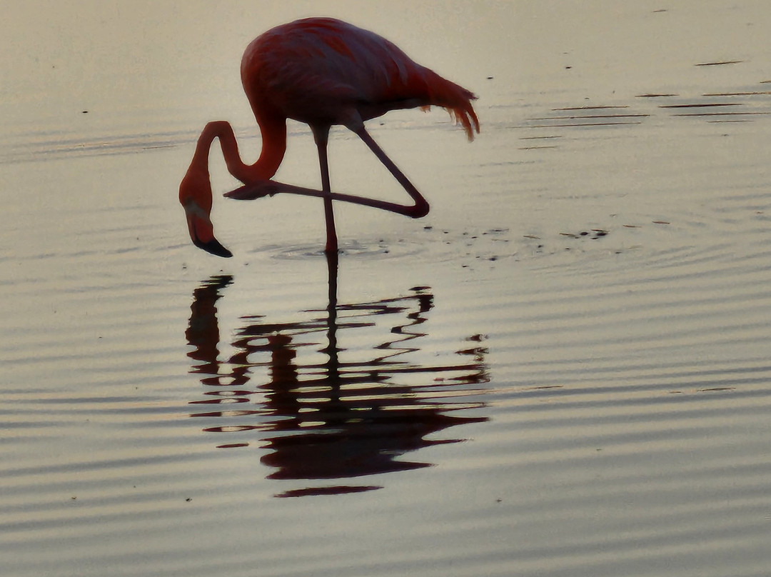 Galapagos by Local Guides-圣克鲁斯必去景点