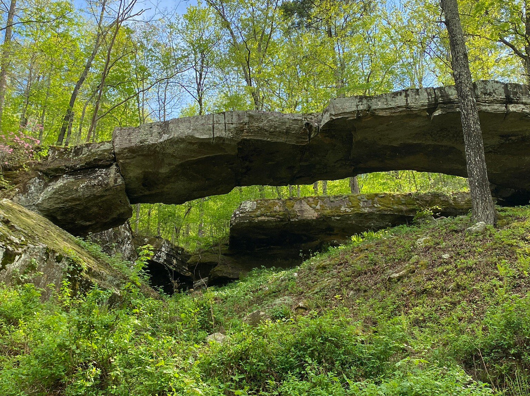 Natural Bridge Of Arkansas-Clinton必去景点