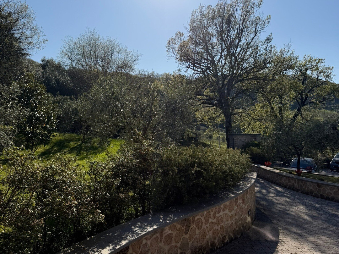 阿尔塔洛卡葡萄酒度假村主图