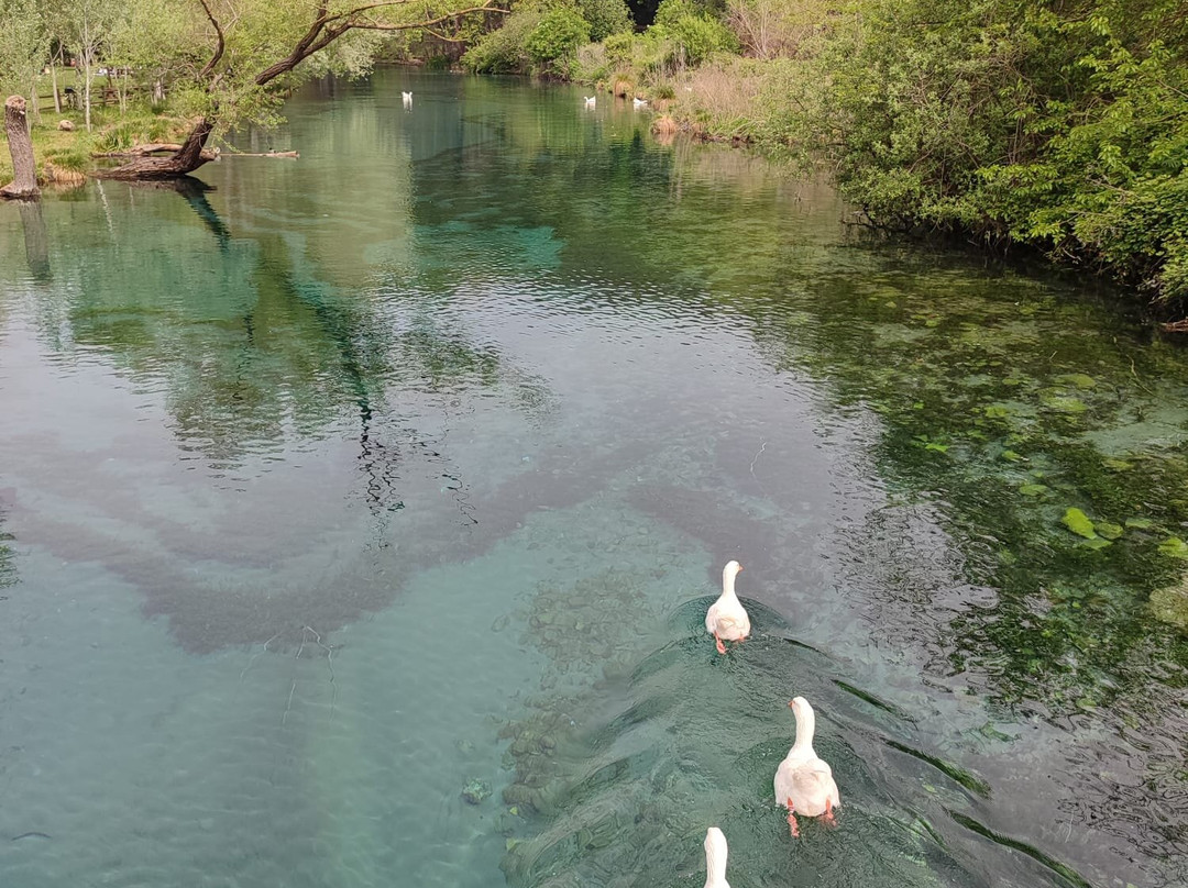 Parco del Grassano-San Salvatore Telesino必去景点