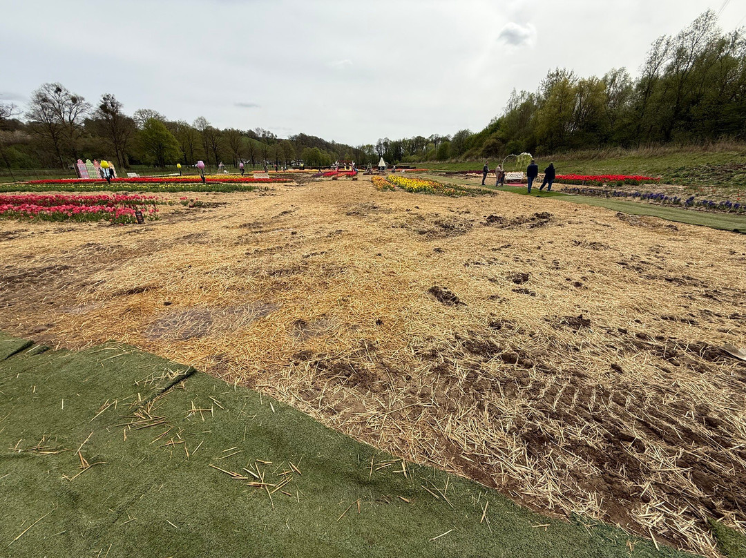 Krewelshof-Lohmar必去景点