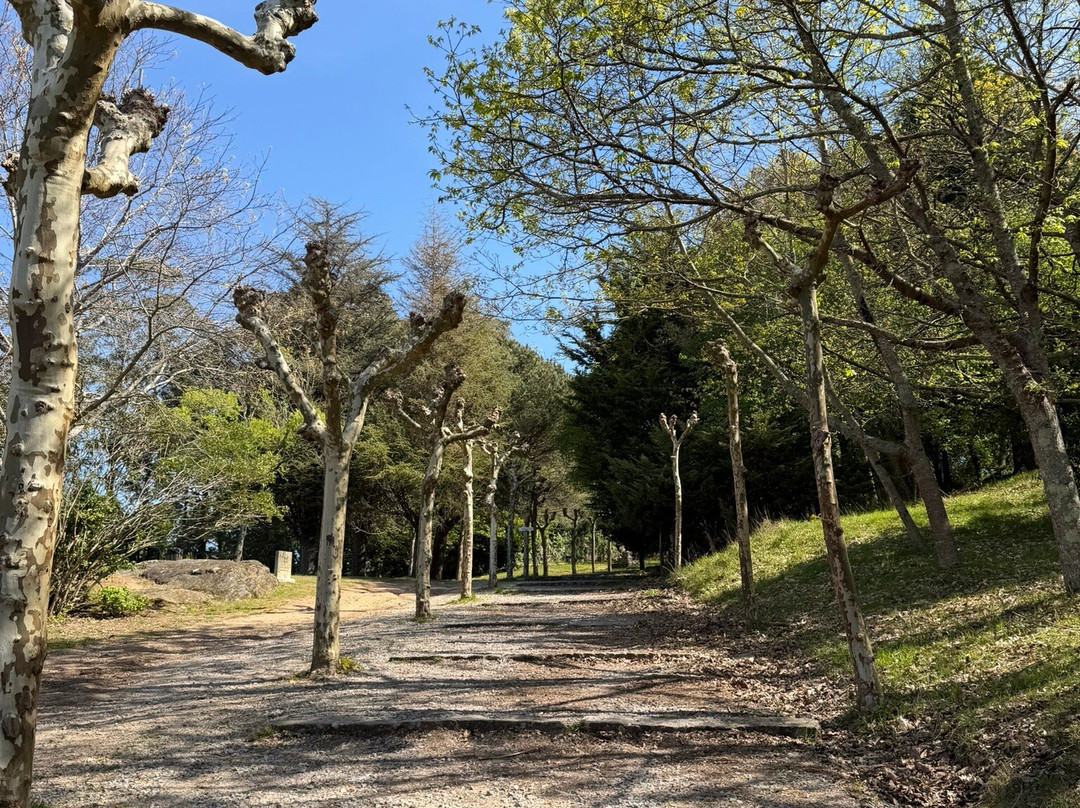 Mirador De A Pastora-Cambados必去景点