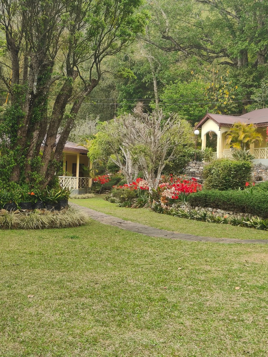 Turuk Kothi Heritage Home-旅行者
