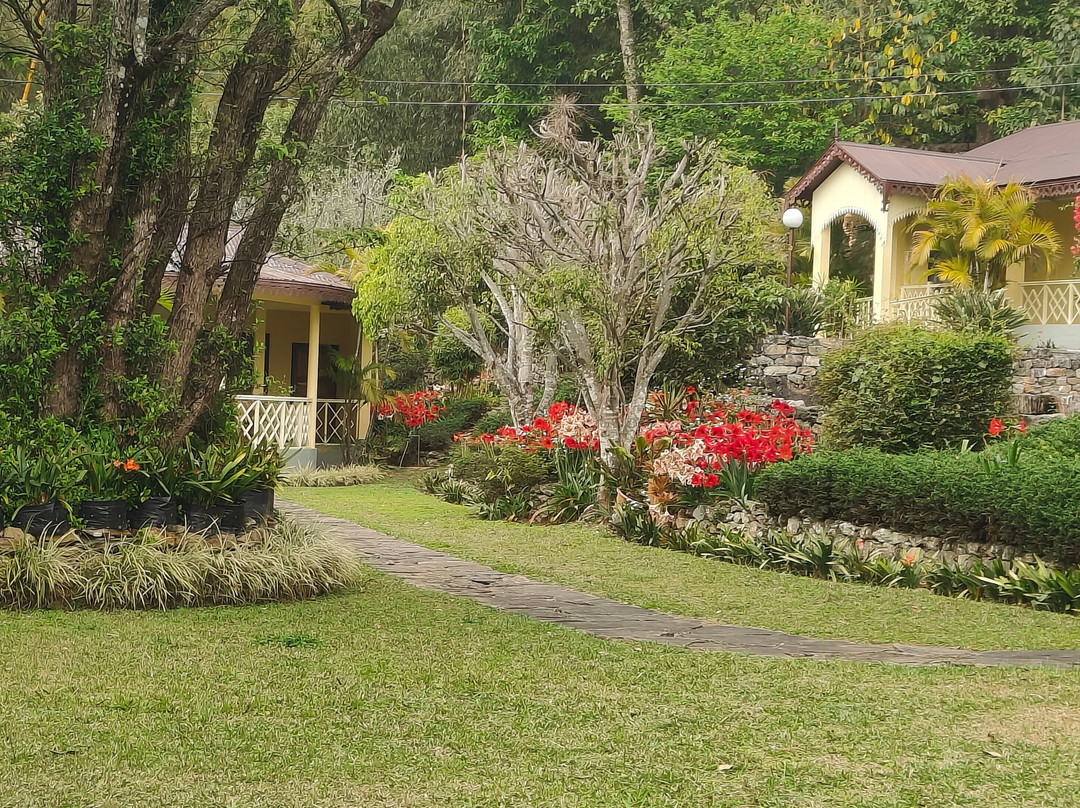 Turuk Kothi Heritage Home主图