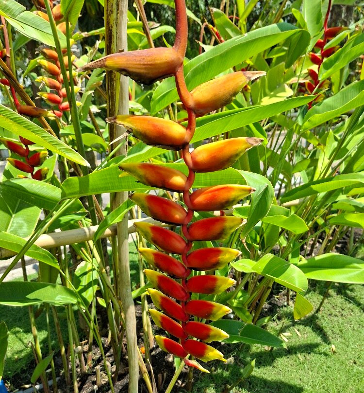 海崖度假酒店主图