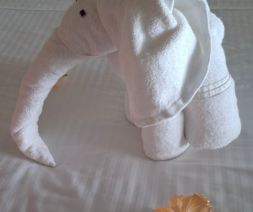 辛纳蒙希卡杜瓦酒店主图