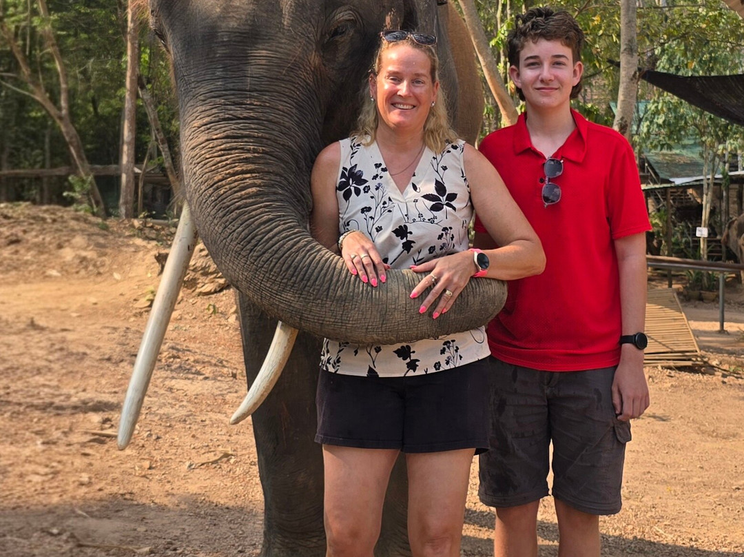 Pattaya Elephant Sanctuary-Bang Sare必去景点