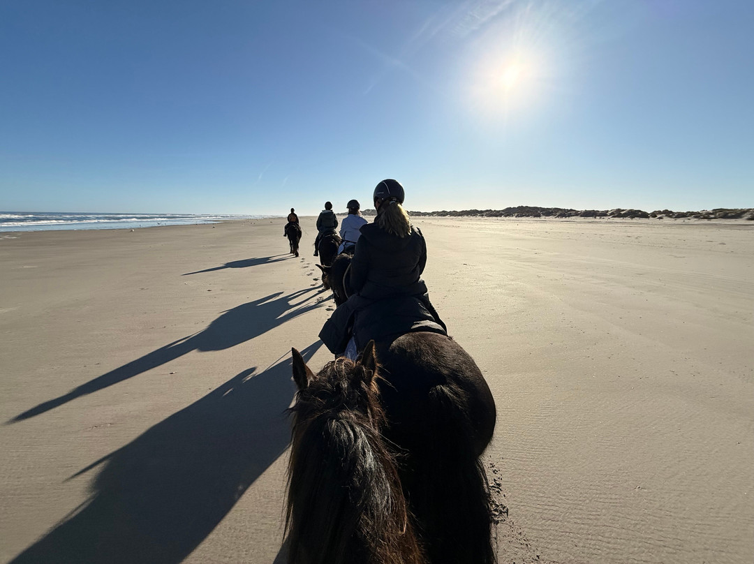 Puur Terschelling-Terschelling必去景点