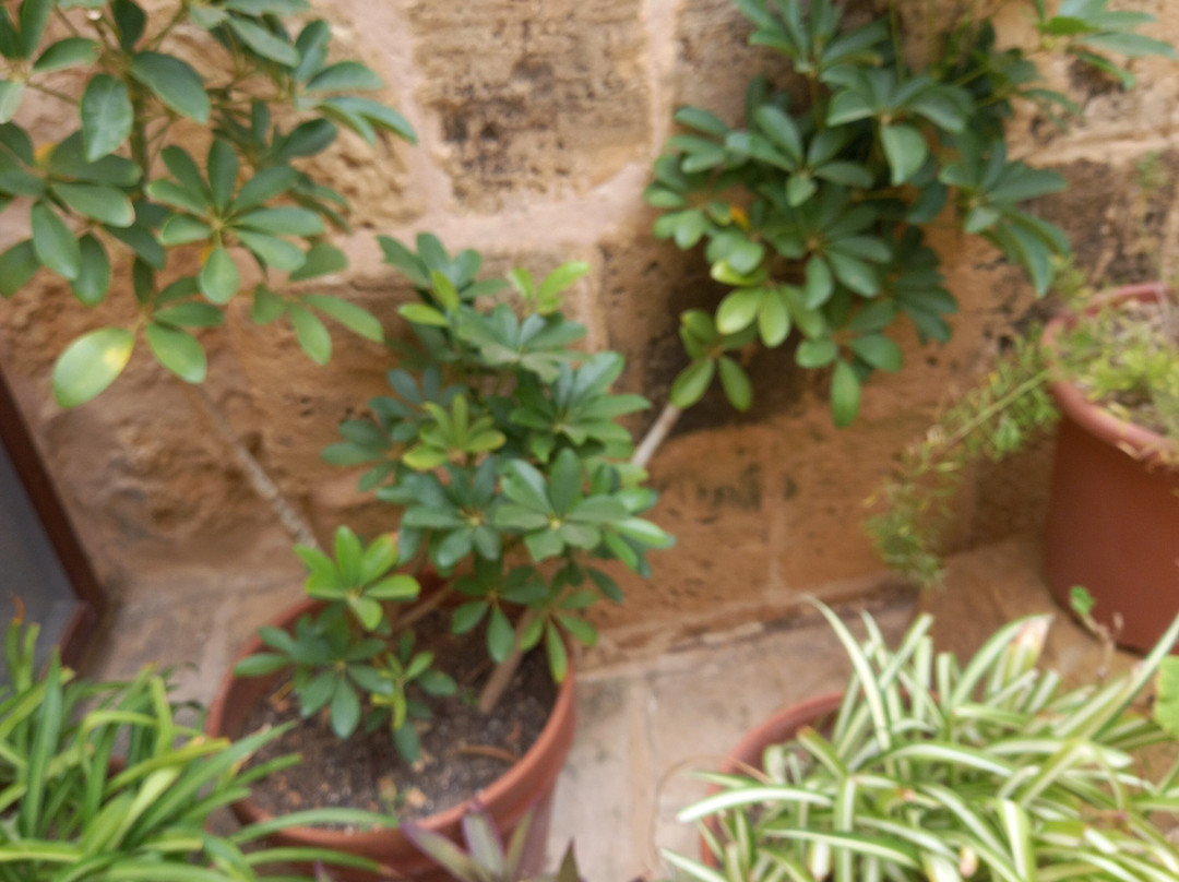 Gran Castello Historic House-Victoria必去景点