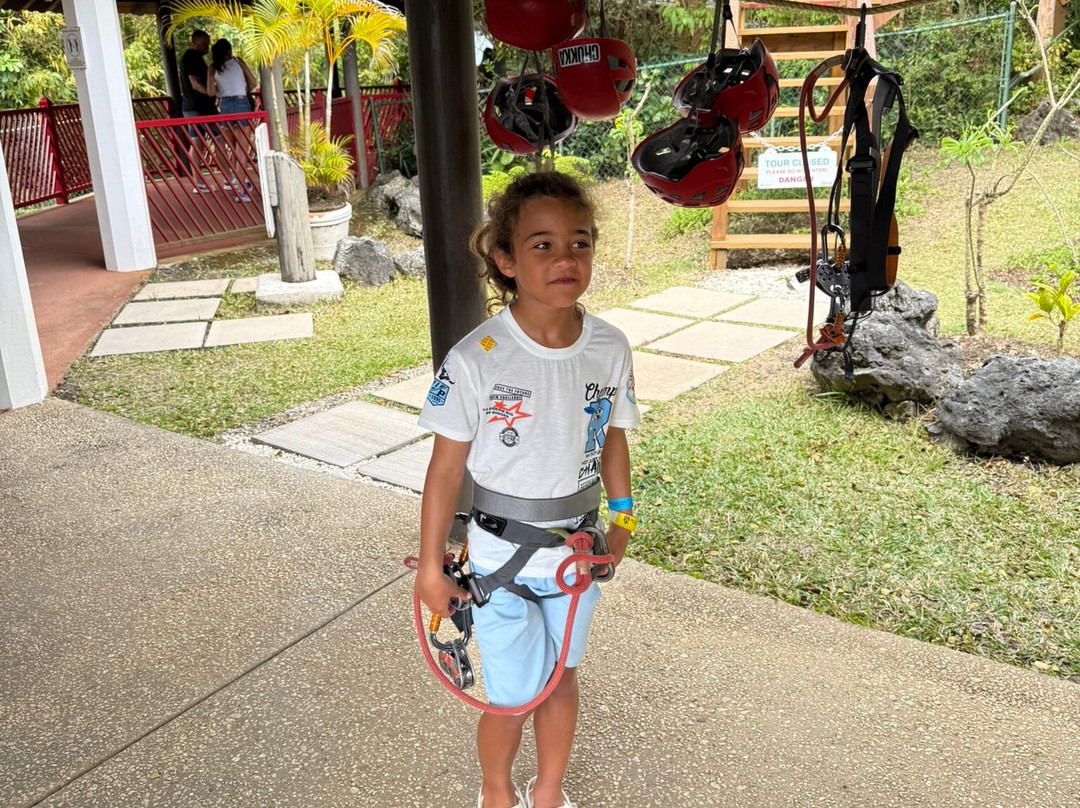 Harrison's Cave Eco-Adventure Park-Saint Thomas Parish必去景点