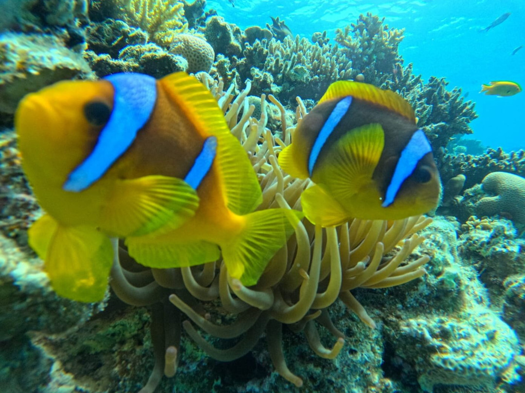 ÄGYPTEN - VIP unvergessliche exclusive Ausflüge mit FARA & HAMADA-Pfungen必去景点