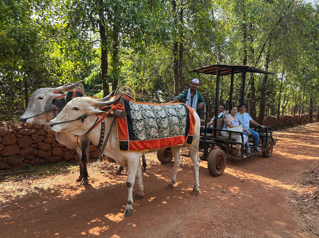达波利的费恩萨玛利度假村，万豪系列主图