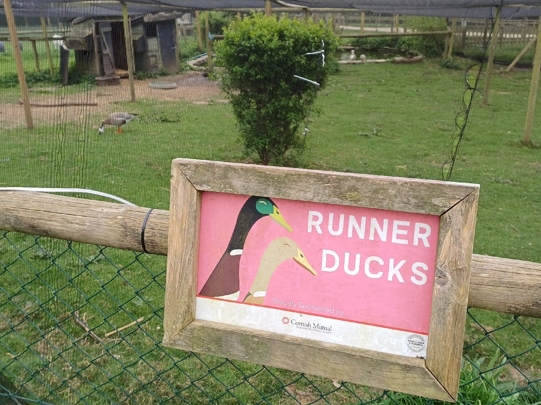 Kingston Maurward Park And Gardens-多切斯特必去景点