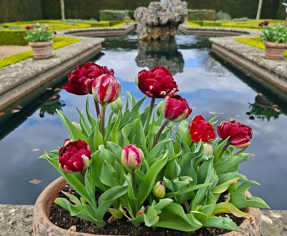 Houghton Hall and Gardens-Houghton必去景点