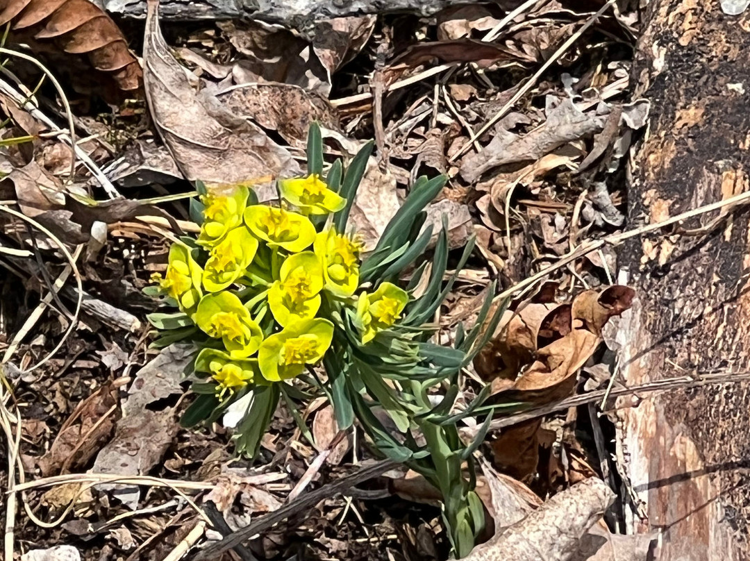 渤兴生态酒店主图