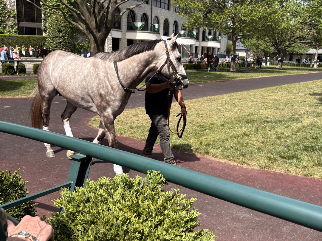 Keeneland-列克星敦必去景点